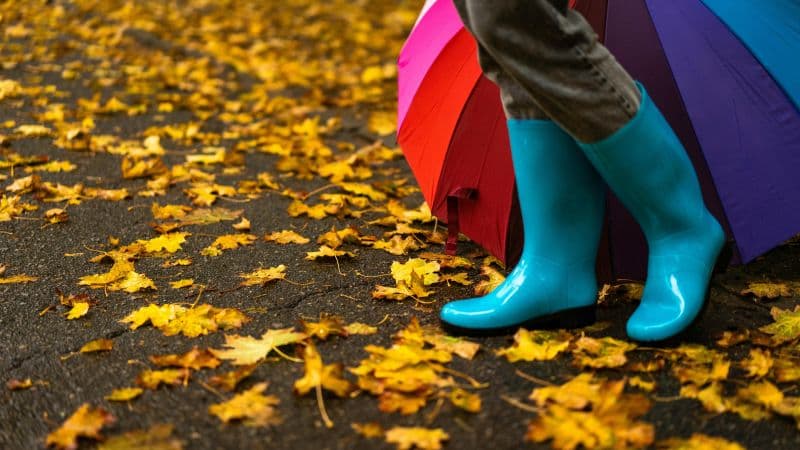 Hidden Gems: Items You Didn't Know You Could Donate